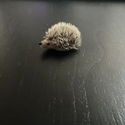Small Steiff Hedgehog