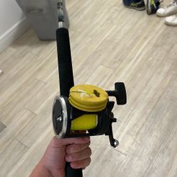 Trolling/ Bottom Fishing Rod