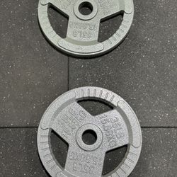 35 Lb Plates 