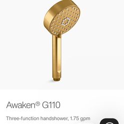 Kohler Awaken G110 K-72415-G-2MB