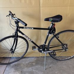 Giant Nutra Bike