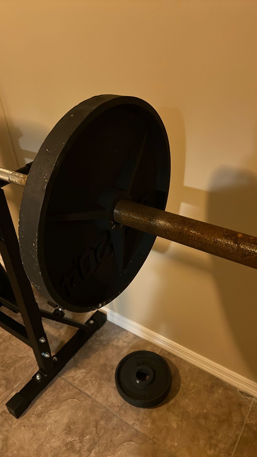45 Pound Wieght Plates