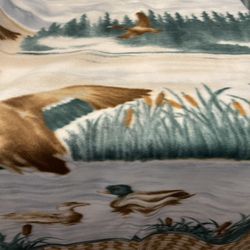 Beautiful Duck Fleece To Make A Blanket