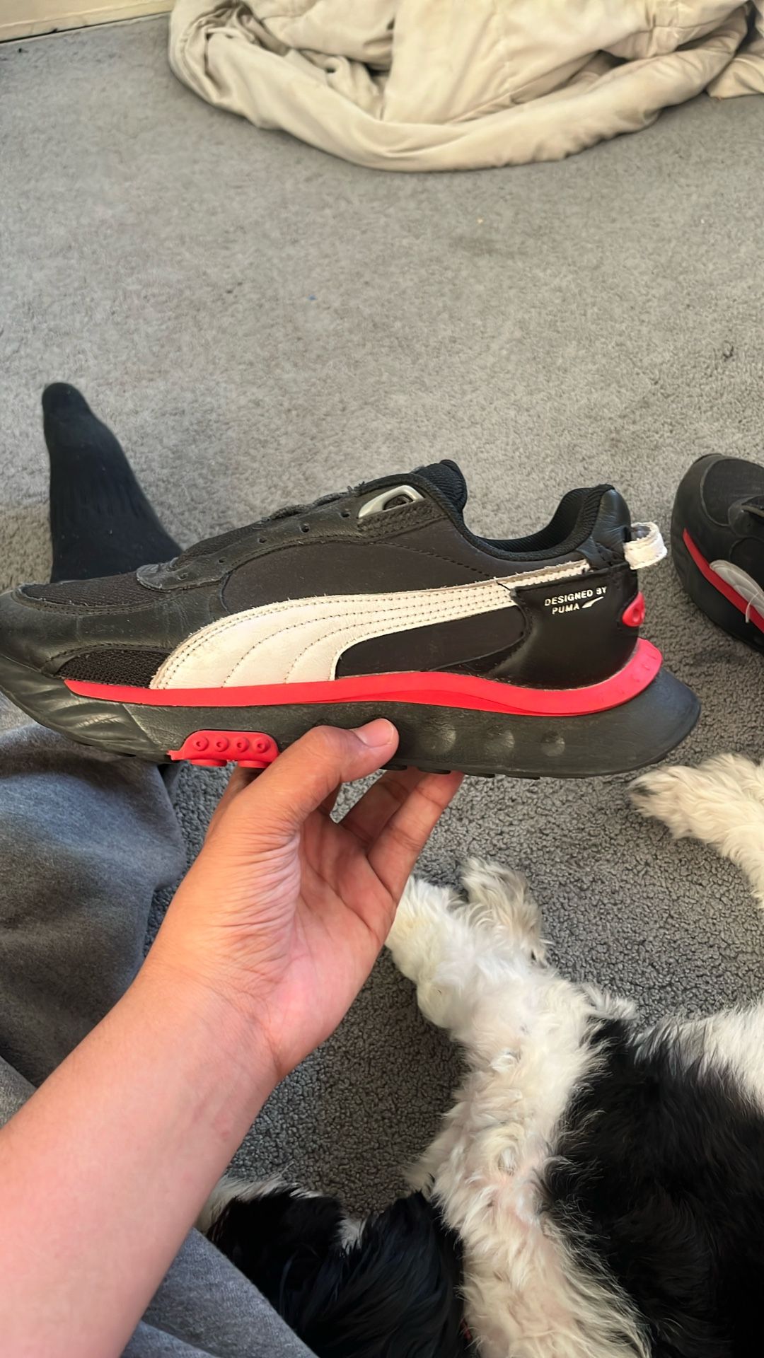 Puma Wild Rider Route
