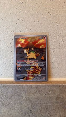 Numel 223/217