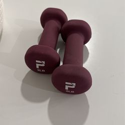 Free With Purchase: 2lb Hand Weights Dumbbells Pilates HIIT Training