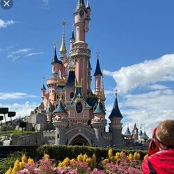 Disneyland Park hopper