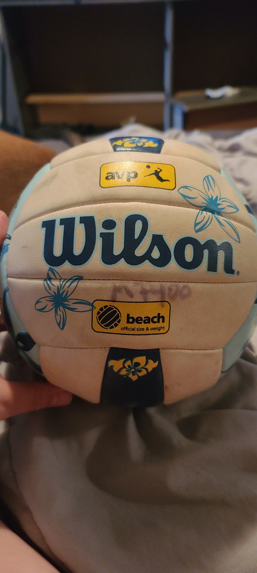 Wilson Beach Volleyball