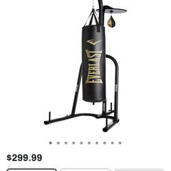 80 Pound Punching Bag 