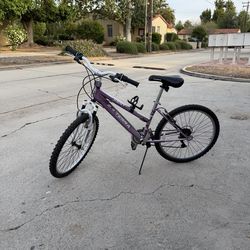 Kent Terra 2.4 – 24" Kids 21-Speed Mountain Bike