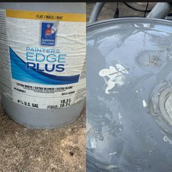 5 Gallon Exterior Paint 