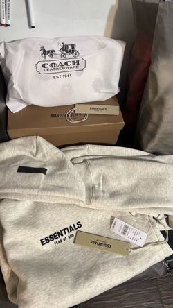 Essentials hoodie