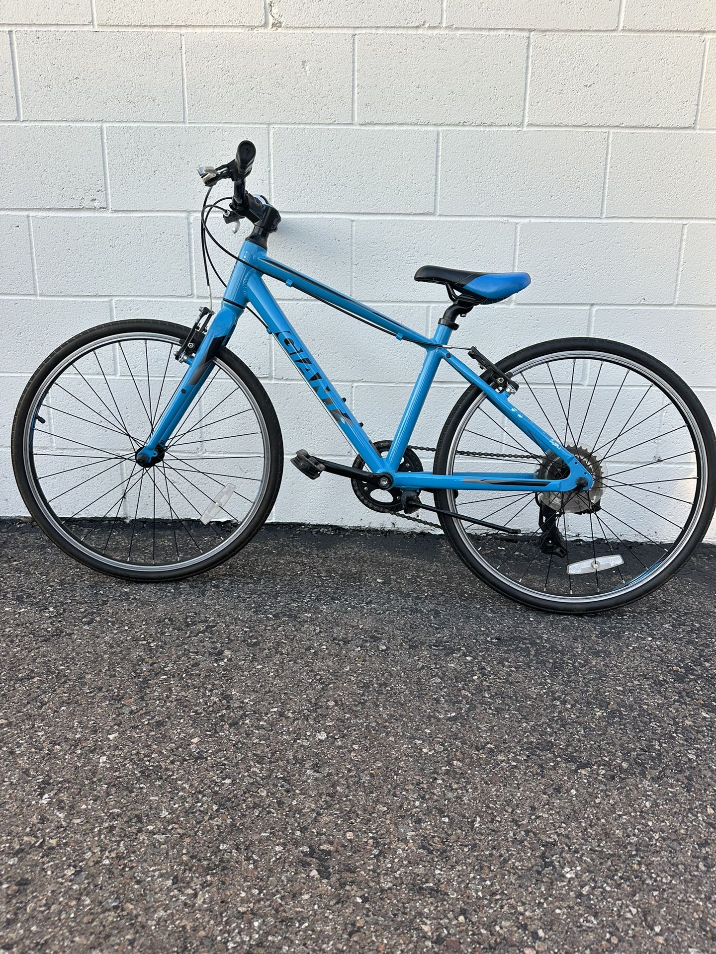 Giant Escape Jr Kids Bike 20”