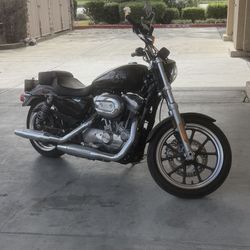 2019 Harley Davidson Sportster