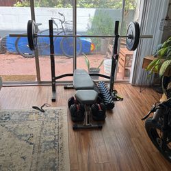 Bench Press With Weights And Olympic Bar