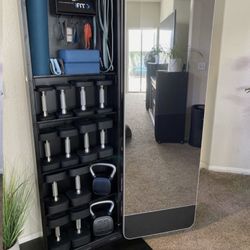 Beautiful interactive mirror with full set of dumbbells and kettlebells like new condition  Pick up only located in orting   The NordicTrack Vault is 