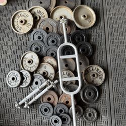 Standard weight plates 237.5lbs total plus tricep bar and dumbbell handles