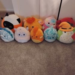 Squishmallows 