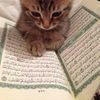 Fatima