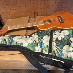 Ukulele 