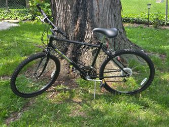 Puffy men's bike