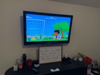 Samsung 46in Flat Screen TV Stand n Wall Mounted