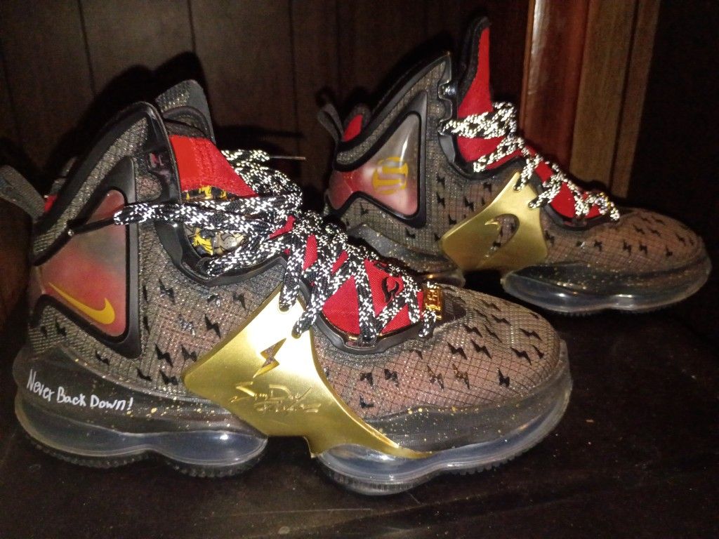 Lebron 19 DOERNBECHER 2022 Nike Shoes