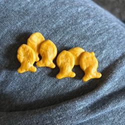 Goldfish Stuck Together (School Of Fish)