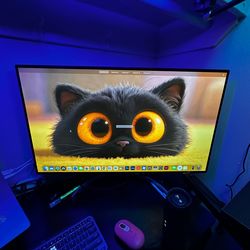 LG Monitor 32”