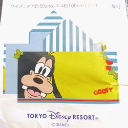 Disney Goofy Towel