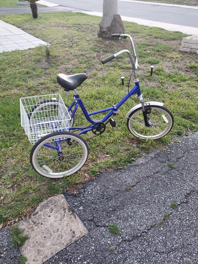 Adult tricycle shark tank sales