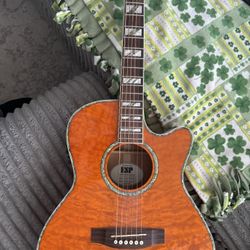 Esp Ltd Xtone Series Guitar