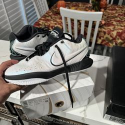 LeBron XXI (21) Size 10.5