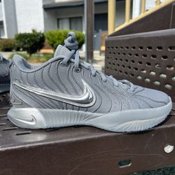 Ds Nike LeBron 21 “Resilient” Sizes 9 & 10