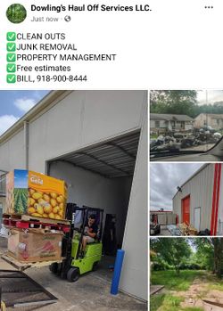 Trailer & Junk & Trees
