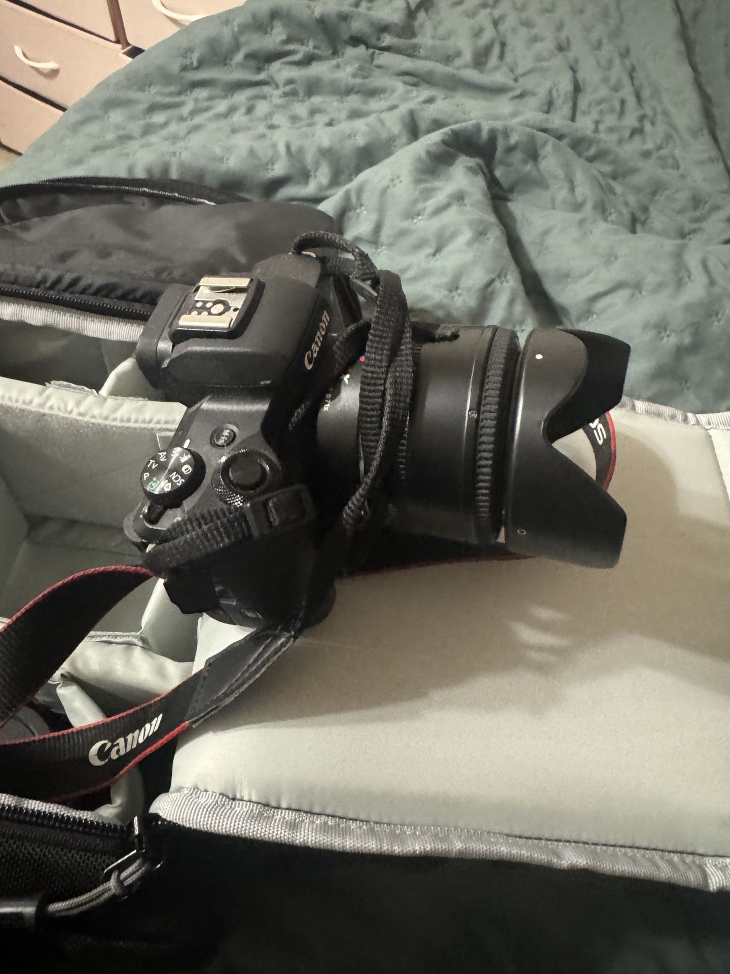 Canon EOS M50 + More