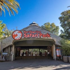 San Diego Safari Park Tix 