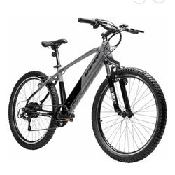 E bike