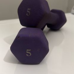 5 Pound Dumbells