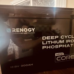 Renogy 12v 300AH Mini core LifePo4 Battery 