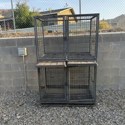 Dogs Cages 
