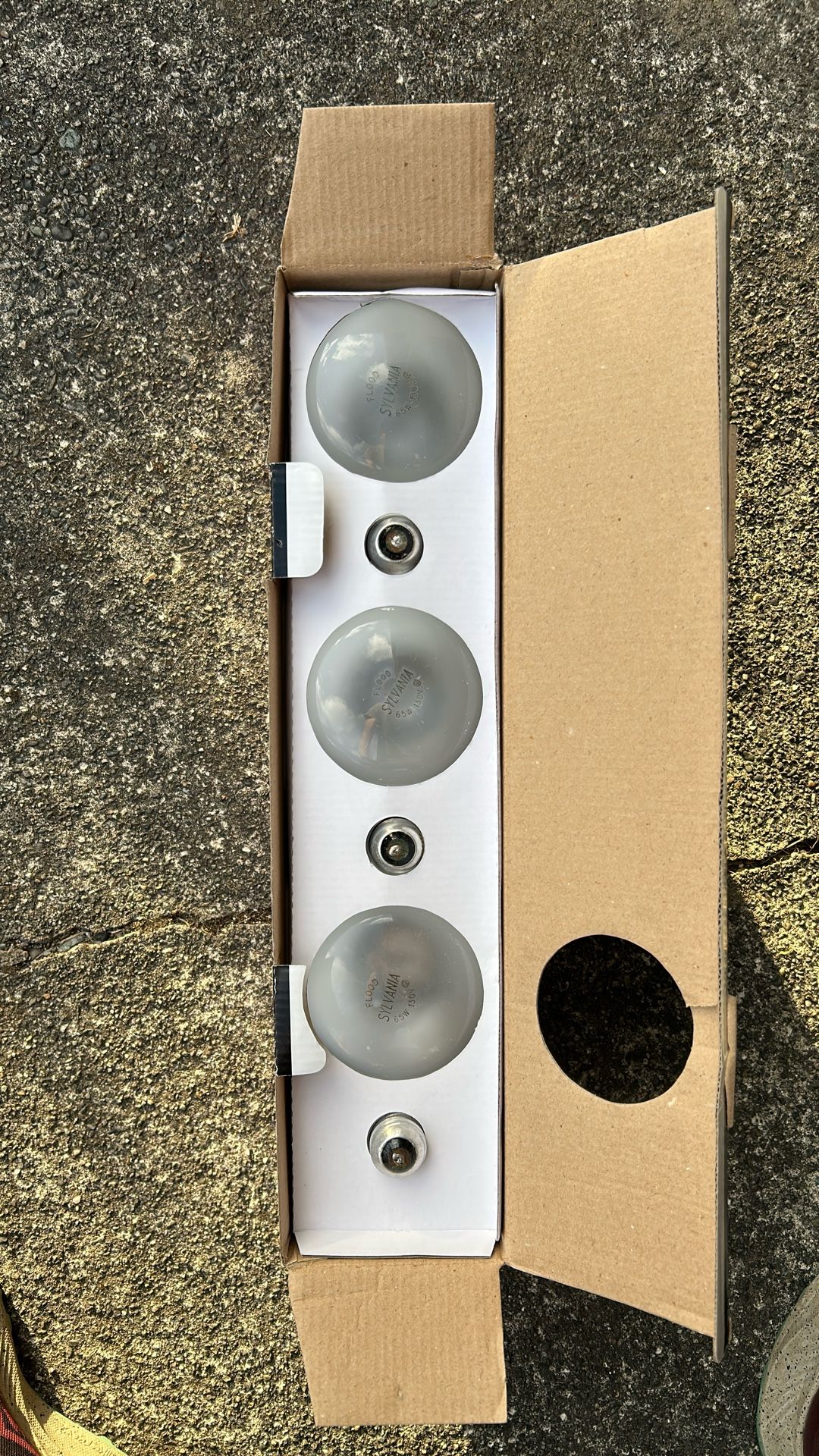 6 Free Sylvania Flood Light Bulbs 65W