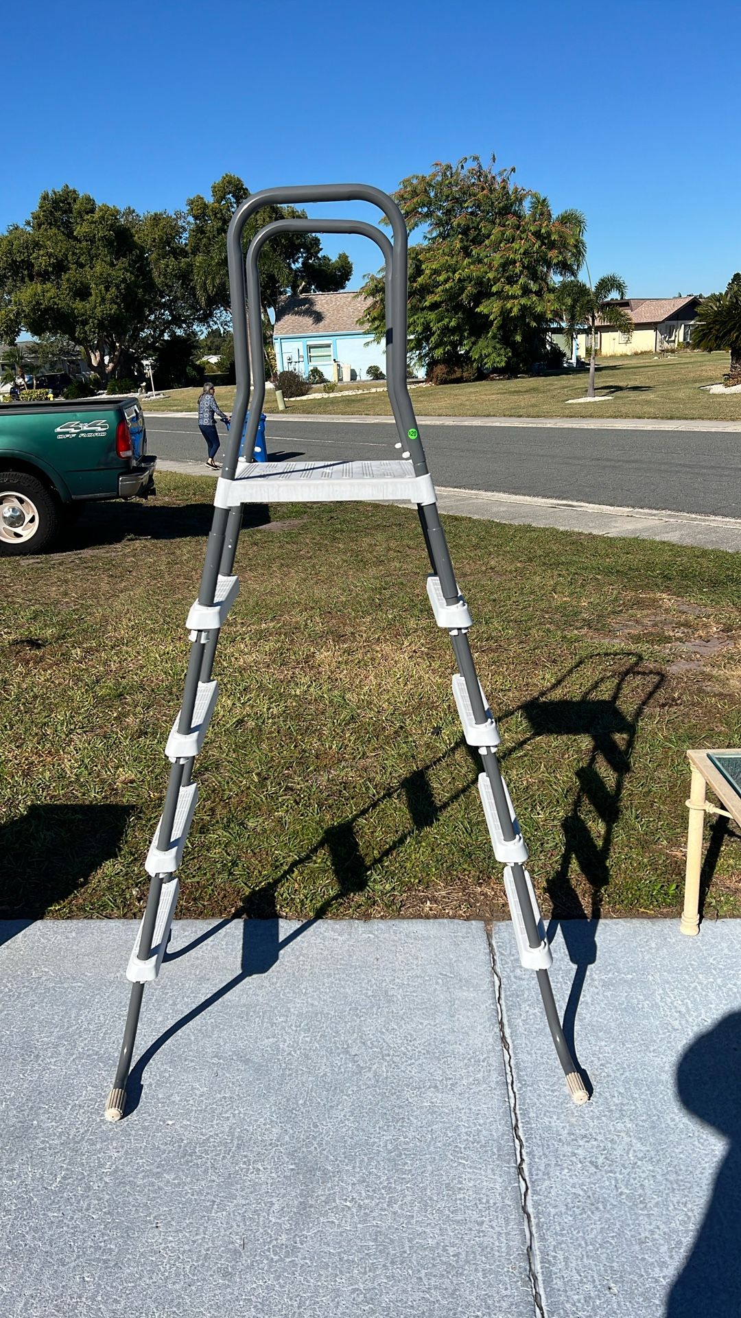 Pool Ladder 20 Dollars
