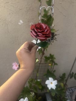 Metal Roses