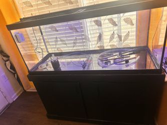 75 GallonTank + Stand