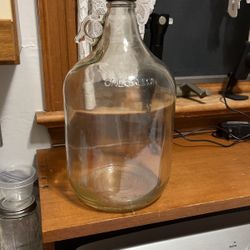 Glass Gallon 