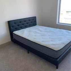 Luxurious Frames All Sizes Twin Full King Queen Delivery Available 