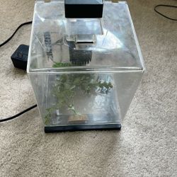Small Plastic Cube Fish Tank