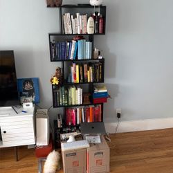 Book Case 