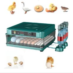 Egg Incubator 